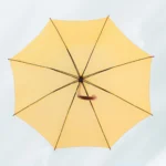 Umbrella Company Regulations: What’s Coming and What Do They Mean?