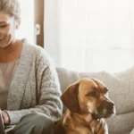 A lady working at a laptop on her sofa, with a dog next to her